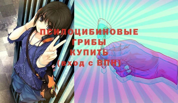 мяу мяу мука Армянск